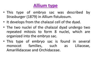 Allium type
• This type of embryo sac was described by
Strasburger (1879) in Allium fistulosum.
• It develops from the chalazal cell of the dyad.
• The two nuclei of the chalazal dyad undergo two
repeated mitosis to form 8 nuclei, which are
organized into the embryo sac.
• This type of embryo sac is found in several
monocot families, such as Liliaceae,
Amarillidaceae and Orchidaceae.
 