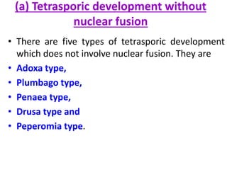 (a) Tetrasporic development without
nuclear fusion
• There are five types of tetrasporic development
which does not involve nuclear fusion. They are
• Adoxa type,
• Plumbago type,
• Penaea type,
• Drusa type and
• Peperomia type.
 