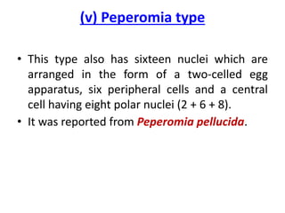 (v) Peperomia type
• This type also has sixteen nuclei which are
arranged in the form of a two-celled egg
apparatus, six peripheral cells and a central
cell having eight polar nuclei (2 + 6 + 8).
• It was reported from Peperomia pellucida.
 
