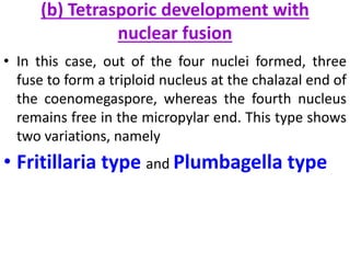 (b) Tetrasporic development with
nuclear fusion
• In this case, out of the four nuclei formed, three
fuse to form a triploid nucleus at the chalazal end of
the coenomegaspore, whereas the fourth nucleus
remains free in the micropylar end. This type shows
two variations, namely
• Fritillaria type and Plumbagella type
 