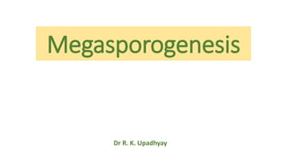Megasporogenesis
Dr R. K. Upadhyay
 