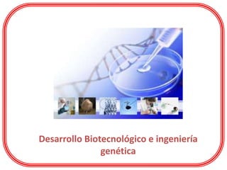 Desarrollo Biotecnológico e ingeniería
genética
 