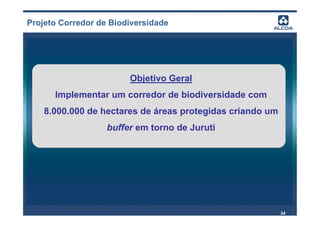 Projeto Corredor de Biodiversidade




                        Objetivo Geral
      Implementar um corredor de biodiversidade com
    8.000.000 de hectares de áreas protegidas criando um
                   buffer em torno de Juruti




                                                           34
 