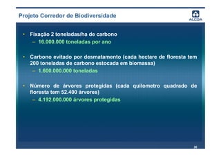 Projeto Corredor de Biodiversidade


 • Fixação 2 toneladas/ha de carbono
    – 16.000.000 toneladas por ano

 • Carbono evitado por desmatamento (cada hectare de floresta tem
   200 toneladas de carbono estocada em biomassa)
    – 1.600.000.000 toneladas

 • Número de árvores protegidas (cada quilometro quadrado de
   floresta tem 52.400 árvores)
    – 4.192.000.000 árvores protegidas




                                                               36
 