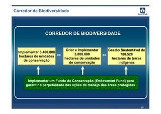 Corredor de Biodiversidade




                 CORREDOR DE BIODIVERSIDADE


                             Criar e Implementar      Gestão Sustentável de
  Implementar 3.400.000
                                   3.800.000                 788.528
   hectares de unidades
                            hectares de unidades        hectares de terras
     de conservação
                               de conservação               indígenas




       Implementar um Fundo de Conservação (Endowment Fund) para
      garantir a perpetuidade das ações de manejo das áreas protegidas




                                                                         37
 