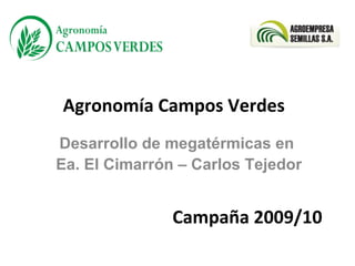 Agronomía Campos Verdes  Desarrollo de megatérmicas en  Ea. El Cimarrón – Carlos Tejedor Campaña 2009/10 