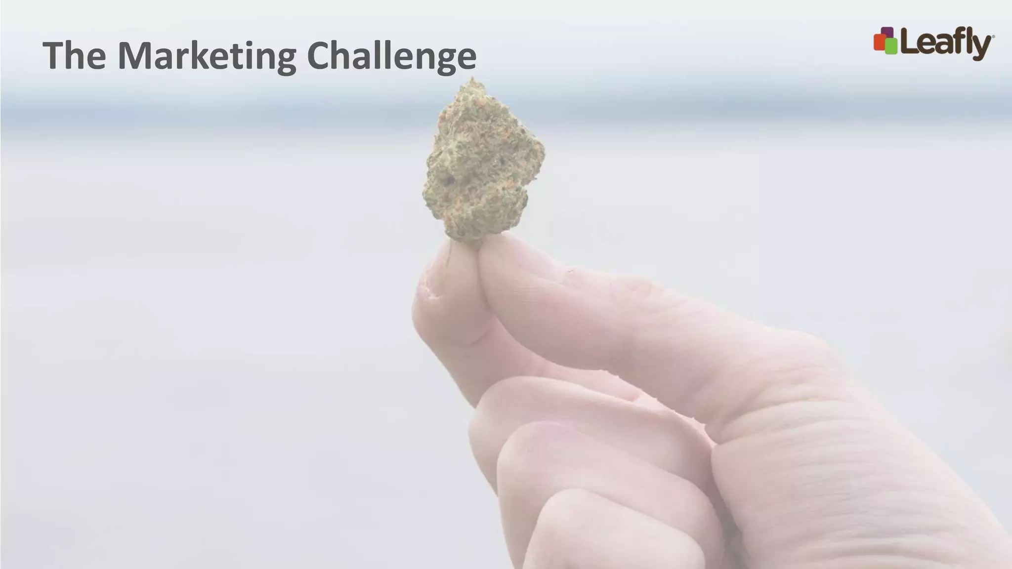 The Marketing Challenge
 