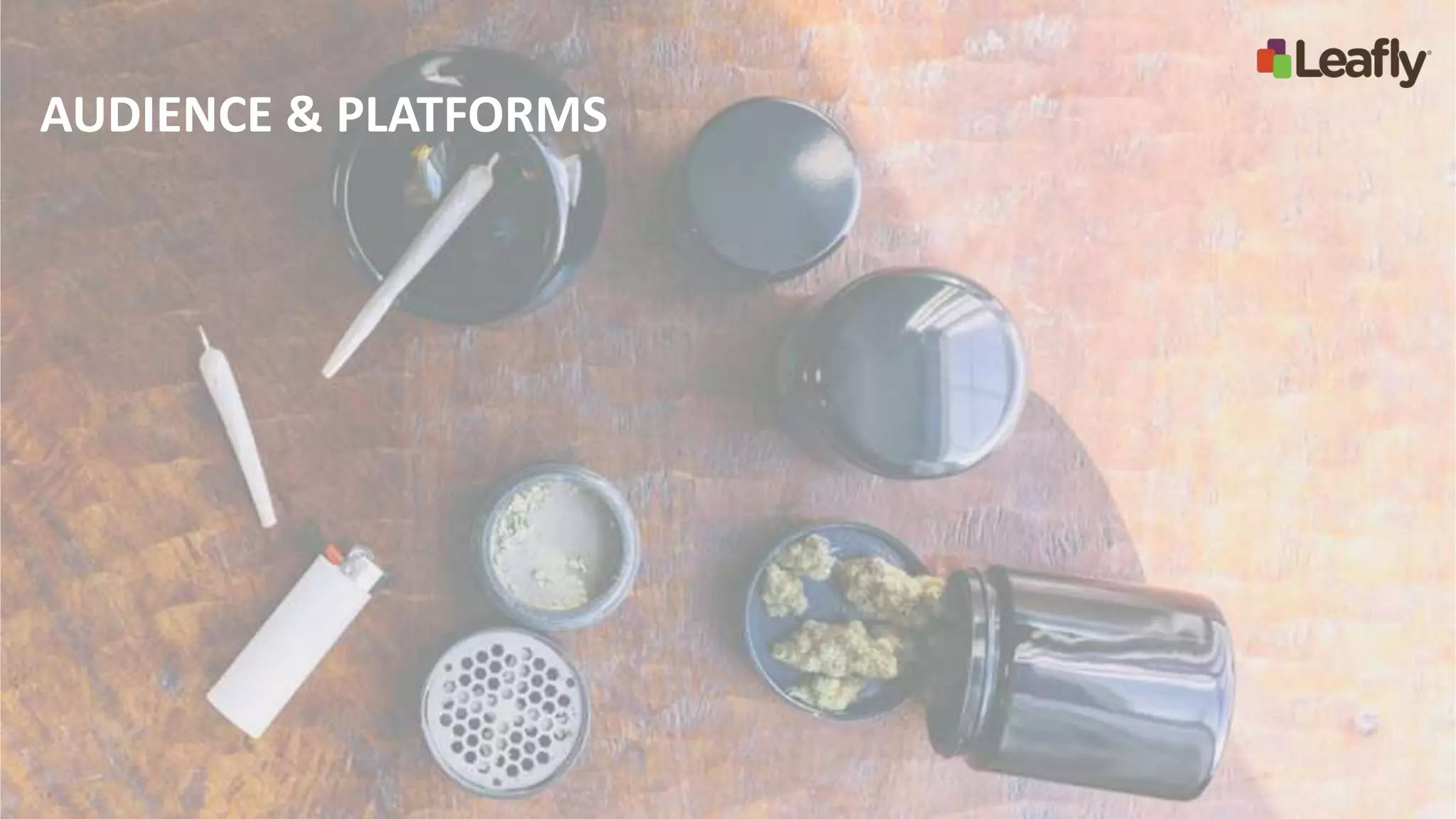 AUDIENCE & PLATFORMS
 