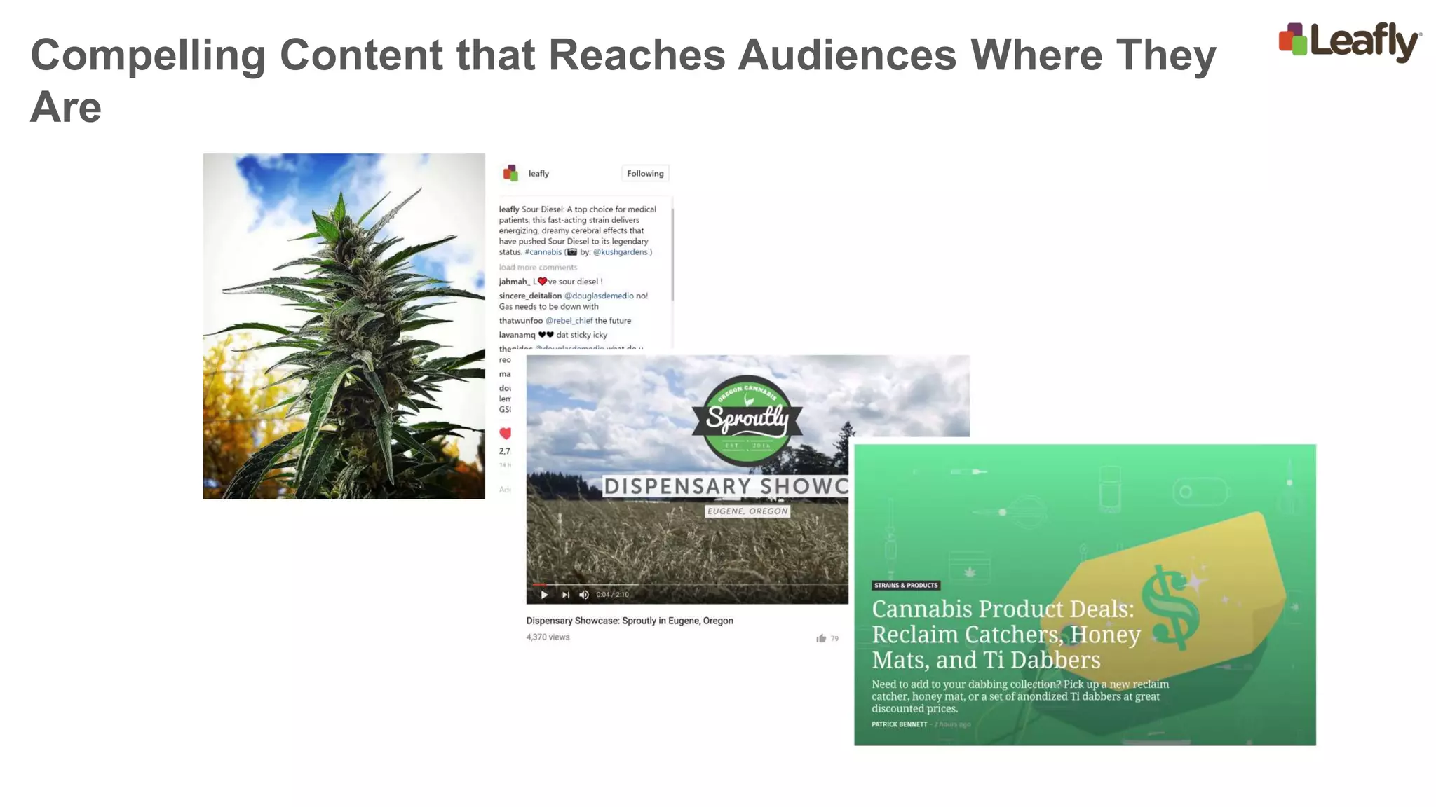 Compelling Content that Reaches Audiences Where They
Are
 
