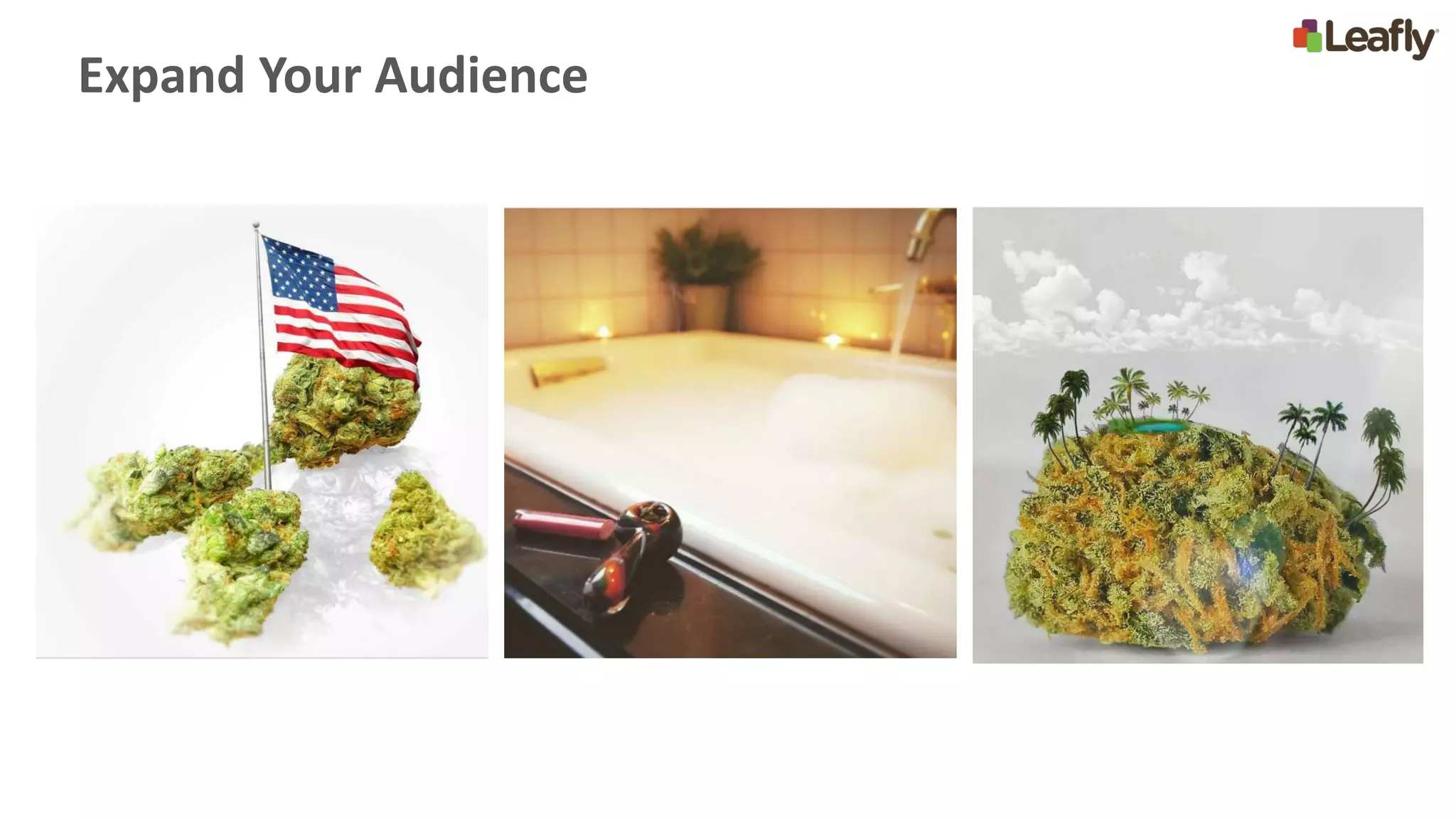 Expand Your Audience
 