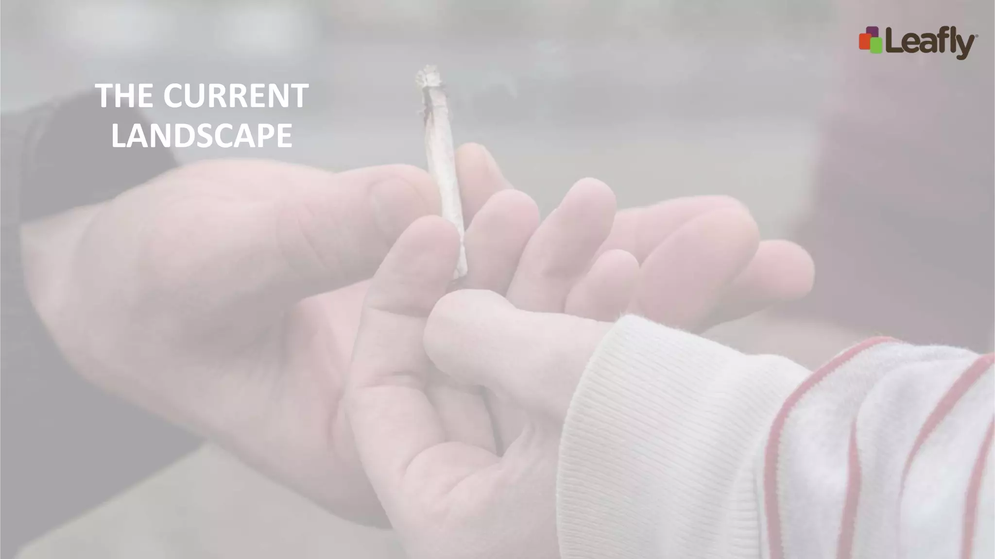 THE CURRENT
LANDSCAPE
 