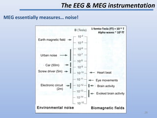 MEG essentially measures… noise!
The EEG & MEG instrumentation
Heart beat
Eye movements
Brain activity
Evoked brain activity
Biomagnetic fields
Earth magnetic field
Environmental noise
Urban noise
Car (50m)
Screw driver (5m)
Electronic circuit
(2m)
1 femto-Tesla (fT) = 10-15
T
Alpha waves ~ 103
fT
26
 