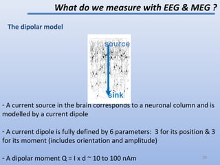 The dipolar model
- A current source in the brain corresponds to a neuronal column and is
modelled by a current dipole
- A current dipole is fully defined by 6 parameters: 3 for its position & 3
for its moment (includes orientation and amplitude)
- A dipolar moment Q = I x d ~ 10 to 100 nAm
What do we measure with EEG & MEG ?
source
sink
29
 