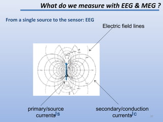 From a single source to the sensor: EEG
What do we measure with EEG & MEG ?
primary/source
currents
secondary/conduction
currents
Electric field lines
JcJs 31
 