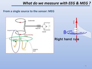 >
From a single source to the sensor: MEG
What do we measure with EEG & MEG ?
Right hand rule
34
 