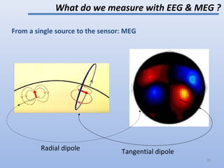 Tangential dipoleRadial dipole
What do we measure with EEG & MEG ?
From a single source to the sensor: MEG
35
 