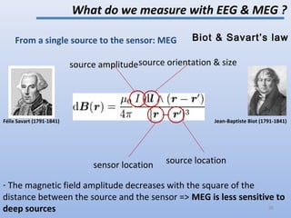 source locationsensor location
source orientation & sizesource amplitude
- The magnetic field amplitude decreases with the square of the
distance between the source and the sensor => MEG is less sensitive to
deep sources
Félix Savart (1791-1841) Jean-Baptiste Biot (1791-1841)
What do we measure with EEG & MEG ?
From a single source to the sensor: MEG Biot & Savart’s law
36
 