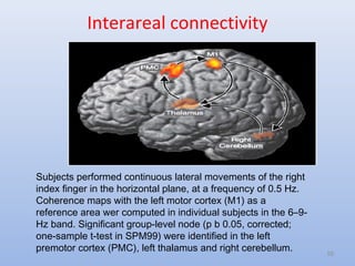 Interareal connectivity
Subjects performed continuous lateral movements of the right
index finger in the horizontal plane, at a frequency of 0.5 Hz.
Coherence maps with the left motor cortex (M1) as a
reference area wer computed in individual subjects in the 6–9-
Hz band. Significant group-level node (p b 0.05, corrected;
one-sample t-test in SPM99) were identified in the left
premotor cortex (PMC), left thalamus and right cerebellum. 55
 