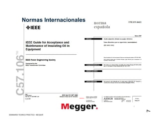 Normas Internacionales
7
7
SEMINARIO TEORICO PRACTICO - MEGGER
 