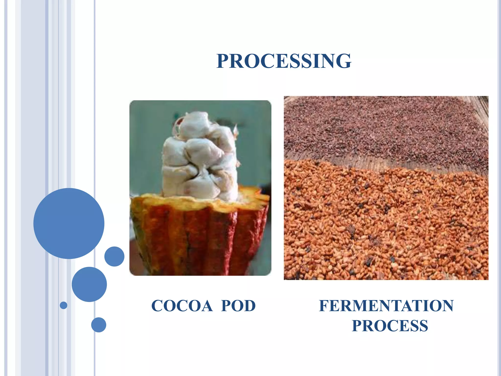production strategy Of cadbury | PPTX
