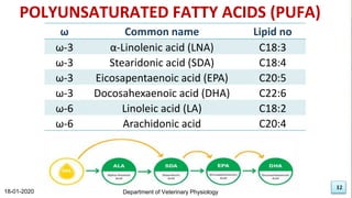 12
ω Common name Lipid no
ω-3 α-Linolenic acid (LNA) C18:3
ω-3 Stearidonic acid (SDA) C18:4
ω-3 Eicosapentaenoic acid (EPA) C20:5
ω-3 Docosahexaenoic acid (DHA) C22:6
ω-6 Linoleic acid (LA) C18:2
ω-6 Arachidonic acid C20:4
POLYUNSATURATED FATTY ACIDS (PUFA)
Department of Veterinary Physiology
18-01-2020
12
 