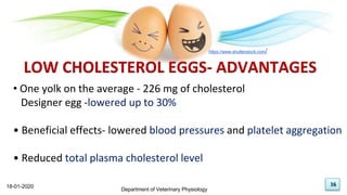 18-01-2020
16
• One yolk on the average - 226 mg of cholesterol
Designer egg -lowered up to 30%
• Beneficial effects- lowered blood pressures and platelet aggregation
• Reduced total plasma cholesterol level
LOW CHOLESTEROL EGGS- ADVANTAGES
18-01-2020
Department of Veterinary Physiology
16
https://www.shutterstock.com/
 