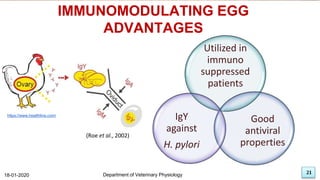 21
Utilized in
immuno
suppressed
patients
Good
antiviral
properties
IgY
against
H. pylori
IMMUNOMODULATING EGG
ADVANTAGES
18-01-2020 Department of Veterinary Physiology 21
https://www.healthline.com/
(Roe et al., 2002)
 