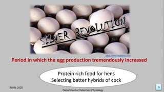 Period in which the egg production tremendously increased
Protein rich food for hens
Selecting better hybrids of cock
18-01-2020
Department of Veterinary Physiology
5
https://www.healthline.com/
 