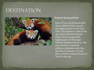 Nokrek National Park
East of Tura, the forested hills
rise to Nokrek Peak (1412m),
the highest point in the Garo
Hills. The summit is part of the
48-sq-km Nokrek National
Park, which occupies the
highest parts of the larger
Nokrek Biosphere Reserve. The
area is home to hoolock
gibbons, elephants and a few
species of macaque. To visit,
hire a vehicle (around ₹2000) in
Tura for the day.
 