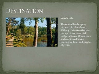 Ward’s Lake
The central landscaping
element of colonial-era
Shillong, this attractive lake
has a pretty ornamental
bridge, adjacent flower beds
and manicured lawns,
boating facilities and gaggles
of geese.
 