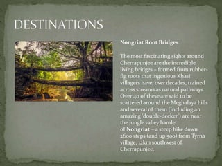 Nongriat Root Bridges
The most fascinating sights around
Cherrapunjee are the incredible
living bridges – formed from rubber-
fig roots that ingenious Khasi
villagers have, over decades, trained
across streams as natural pathways.
Over 40 of these are said to be
scattered around the Meghalaya hills
and several of them (including an
amazing ‘double-decker’) are near
the jungle valley hamlet
of Nongriat – a steep hike down
2600 steps (and up 500) from Tyrna
village, 12km southwest of
Cherrapunjee.
 