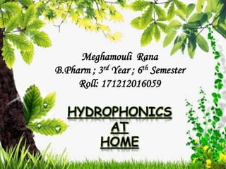 Meghamouli Rana
B.Pharm ; 3rd Year ; 6th Semester
Roll: 171212016059
HYDROPHONICS
AT
HOME
 