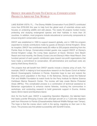 DISNEY AWARDS FUNDS TO CRITICAL CONSERVATION
PROJECTS AROUND THE WORLD
LAKE BUENA VISTA, FL, - The Disney Wildlife Conservation Fund (DWCF) contributed
more than $750,000 this year to help fund the global work of scientists whose work
focuses on protecting wildlife and wild places. The nearly 50 projects funded involve
protecting and studying endangered species and their habitats in more than 25
countries. In addition, most programs include educational or community components to
ensure long-term conservation success.
DWCF was established in 1995 to support research globally, and in 1998 the program
expanded to include contributions made by guests at Disney's Animal Kingdom. Since
its inception, DWCF has contributed nearly $5 million to 200 projects stretching from the
Florida Keys to Kenya. Conservation-minded guests now support DWCF at Disney's
Animal Kingdom Lodge, the Living Seas aquarium at Epcot, Disney's Vero Beach
Resort and most recently, the Disney Cruise Line and Disney's Hilton Head Resort. One
hundred percent of each guest's contribution goes toward non-profit organizations that
have made a commitment to conservation. All administrative and overhead costs are
paid by Walt Disney World Co.
The projects that will benefit from DWCF awards include a diverse array of work. For
example, DWCF is helping to fund aquaculture research on the Queen Conch at Harbor
Branch Oceanographic Institution in Florida. Scientists hope to rear and restock the
dwindling conch population in the Keys. In the Bahamas, Disney joined the National
Fish and Wildlife Foundation to match funds for the Perry Institute for Marine Science
Caribbean Marine Research Center. The monies will help create Marine Protected
Areas (MPAs). This complicated process is a combination of technical assistance to
Bahamian organizations to enhance marine fisheries, involving the communities in
workshops, and conducting research to build grassroots support in Exuma, Andros
Island, Bimini Island and Eleuthera Island.
And, for the fourth year, DWCF is supporting Operation Migration, the talented team
that leads juvenile Whooping Cranes with ultra-light aircraft on a 1,225-mile migration
path from Wisconsin to Florida (Chassahowitzka National Wildlife Refuge near Tampa).
The hope is that the cranes return north in the spring, migrating on their own in the
future. The process was first piloted successfully with Sandhill Cranes.

 