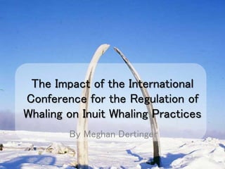 The Impact of the International
Conference for the Regulation of
Whaling on Inuit Whaling Practices
By Meghan Dertinger
 