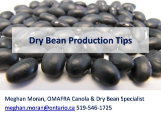 Dry Bean Production Tips
Meghan Moran, OMAFRA Canola & Dry Bean Specialist
meghan.moran@ontario.ca 519-546-1725
 