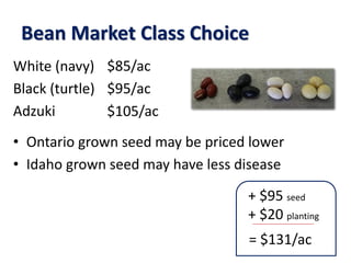 Bean Market Class Choice
White (navy)
Black (turtle)
Adzuki
• Ontario grown seed may be priced lower
• Idaho grown seed may have less disease
+ $95 seed
+ $20 planting
= $131/ac
$85/ac
$95/ac
$105/ac
 