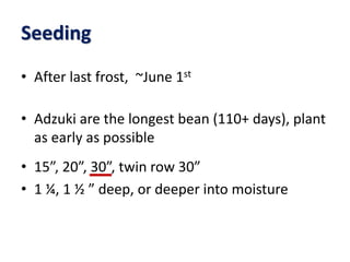 Seeding
• After last frost, ~June 1st
• Adzuki are the longest bean (110+ days), plant
as early as possible
• 15”, 20”, 30”, twin row 30”
• 1 ¼, 1 ½ ” deep, or deeper into moisture
 