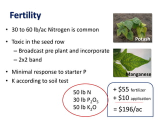 Fertility
• 30 to 60 lb/ac Nitrogen is common
• Toxic in the seed row
– Broadcast pre plant and incorporate
– 2x2 band
• Minimal response to starter P
• K according to soil test
+ $55 fertilizer
+ $10 application
= $196/ac
50 lb N
30 lb P2O5
50 lb K2O
Manganese
Potash
 
