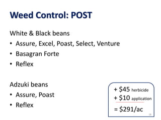 White & Black beans
• Assure, Excel, Poast, Select, Venture
• Basagran Forte
• Reflex
Adzuki beans
• Assure, Poast
• Reflex
Weed Control: POST
18
+ $45 herbicide
+ $10 application
= $291/ac
 