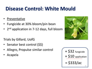 Disease Control: White Mould
• Preventative
• Fungicide at 30% bloom/pin bean
• 2nd application in 7-12 days, full bloom
Trials by Gillard, UofG
• Senator best control ($$)
• Allegro, Propulse similar control
• Acapela
2121
+ $32 fungicide
+ $10 application
= $333/ac
 