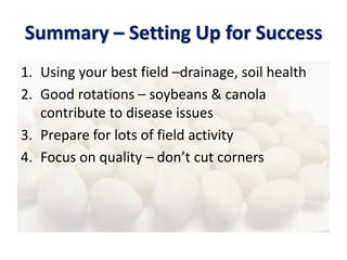 Summary – Setting Up for Success
1. Using your best field –drainage, soil health
2. Good rotations – soybeans & canola
contribute to disease issues
3. Prepare for lots of field activity
4. Focus on quality – don’t cut corners
 
