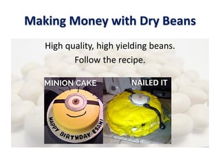 Making Money with Dry Beans
High quality, high yielding beans.
Follow the recipe.
 