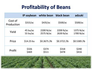 Profitability of Beans
IP soybean white bean black bean adzuki
Cost of
Production
$315/ac $435/ac $500/ac $500/ac
Yield
45 bu/ac
55 bu/ac
2200 lb/ac
2575 lb/ac
2200 lb/ac
2630 lb/ac
1375 lb/ac
1700 lb/ac
Price $14.25 bu $0.3675 /lb $0.3722 /lb $0.5389 /lb
Profit
$326
$469
$374
$511
$318
$478
$240
$416
 