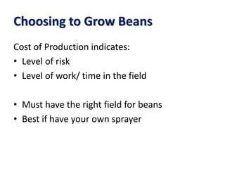 Choosing to Grow Beans
Cost of Production indicates:
• Level of risk
• Level of work/ time in the field
• Must have the right field for beans
• Best if have your own sprayer
 