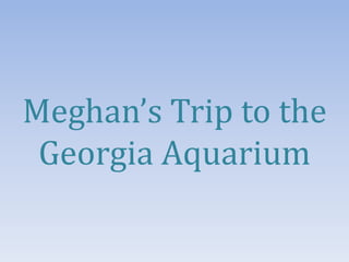 Meghan’s Trip to the
 Georgia Aquarium
 
