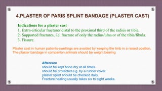 4.PLASTER OF PARIS SPLINT BANDAGE (PLASTER CAST)
Indications for a plaster cast
1. Extra-articular fractures distal to the proximal third of the radius or tibia.
2. Supported fractures, i.e. fracture of only the radius/ulna or of the tibia/fibula.
3. Fissure.
Plaster cast in human patients-swellings are avoided by keeping the limb in a raised position,
The plaster bandage in companion animals should be weight bearing
Aftercare
should be kept bone dry at all times.
should be protected e.g. by a rubber cover.
plaster splint should be checked daily.
Fracture healing usually takes six to eight weeks.
 