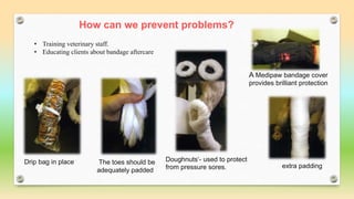 How can we prevent problems?
• Training veterinary staff.
• Educating clients about bandage aftercare
Drip bag in place ~The toes should be
adequately padded
Doughnuts‘- used to protect
from pressure sores. extra padding
A Medipaw bandage cover
provides brilliant protection
 