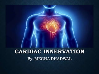 CARDIAC INNERVATION
SUBMITTED TO : DR. I.N MITRA
SUBMITTED BY : MEGHA DHADWAL
ROLL NO : 34
 