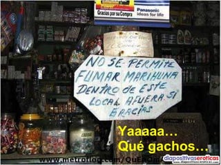 Yaaaaa… Qué gachos… 