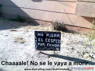 Chaaaale! No se le vaya a morir… 